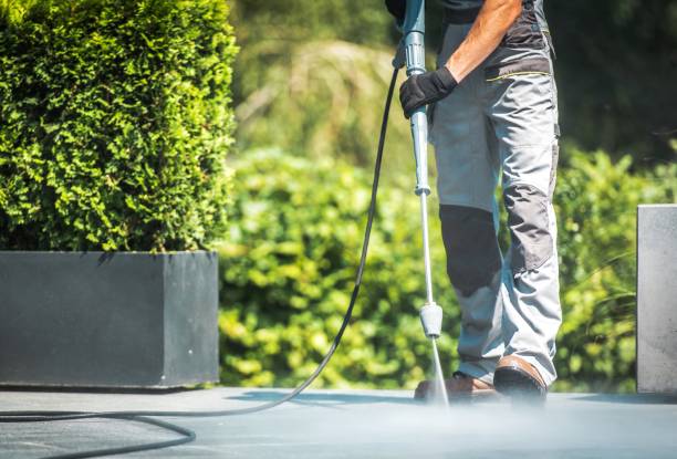 Best Animal Enclosure Cleaning  in Crescent City, FL